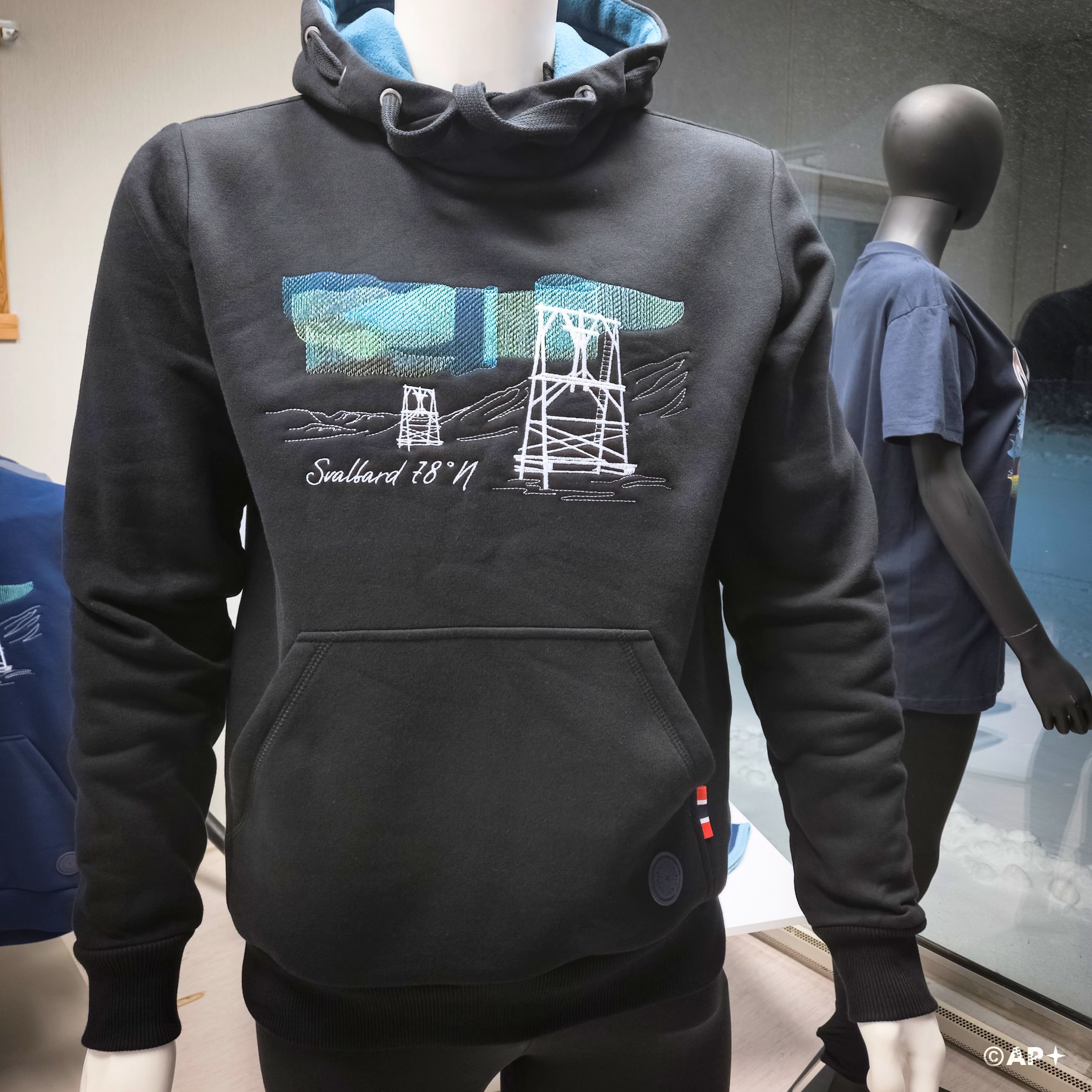 Svalbard Hoodie – Taubanen & Nordlys