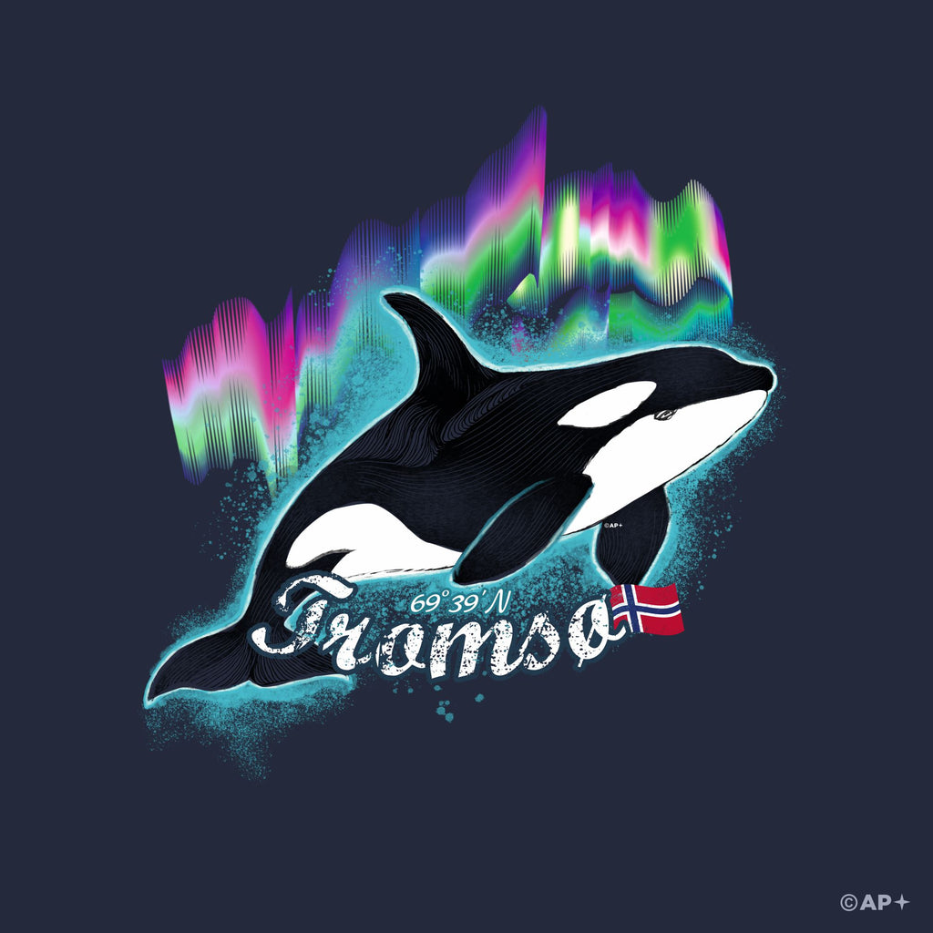 Spekkhogger i nordlyset – Tromsø