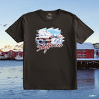 Skjånes – vinter ved havet