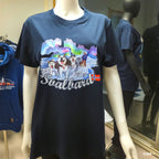 Svalbard Husky & Northern Lights — Arctic Adventure 78° North