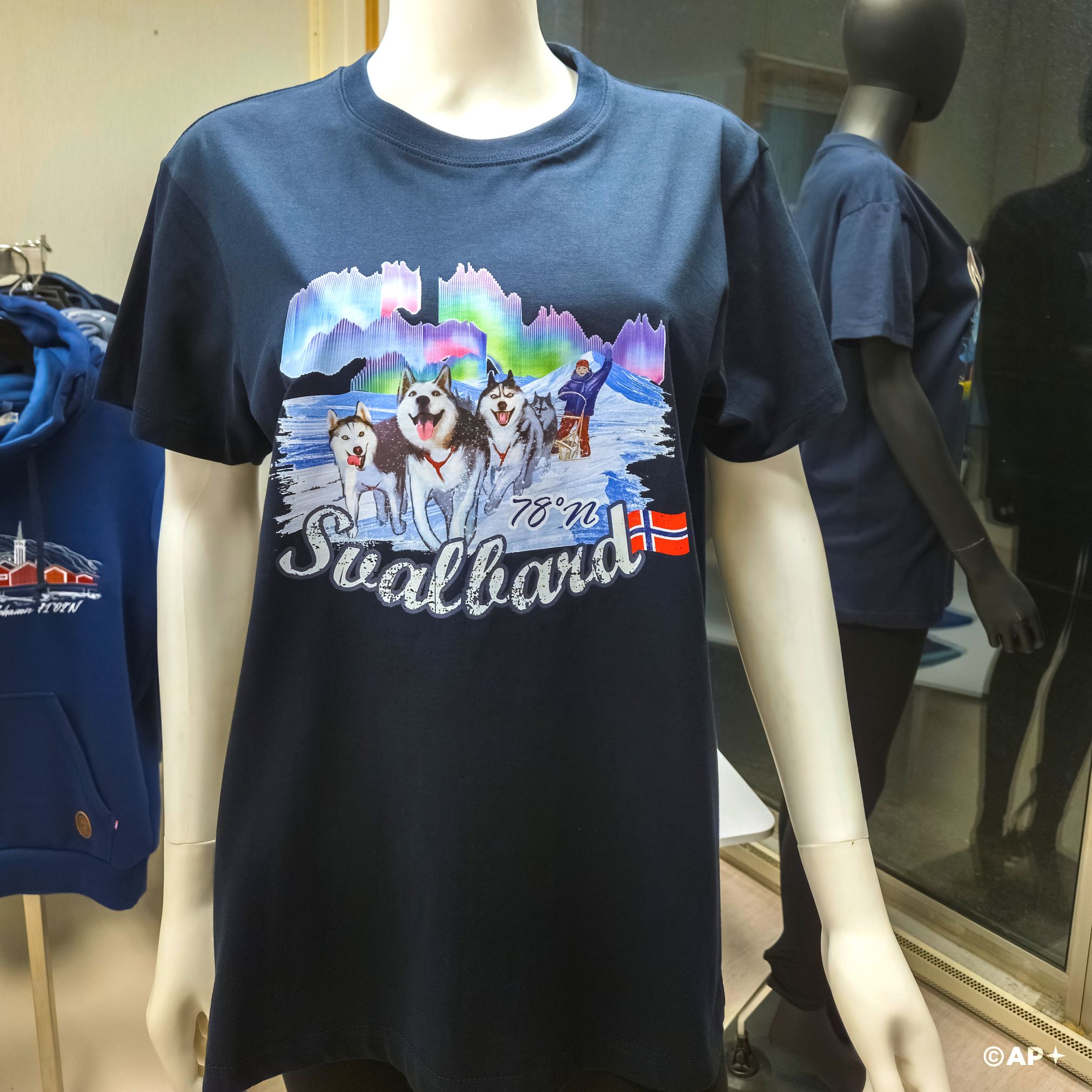 Svalbard Husky & Northern Lights — Arctic Adventure 78° North