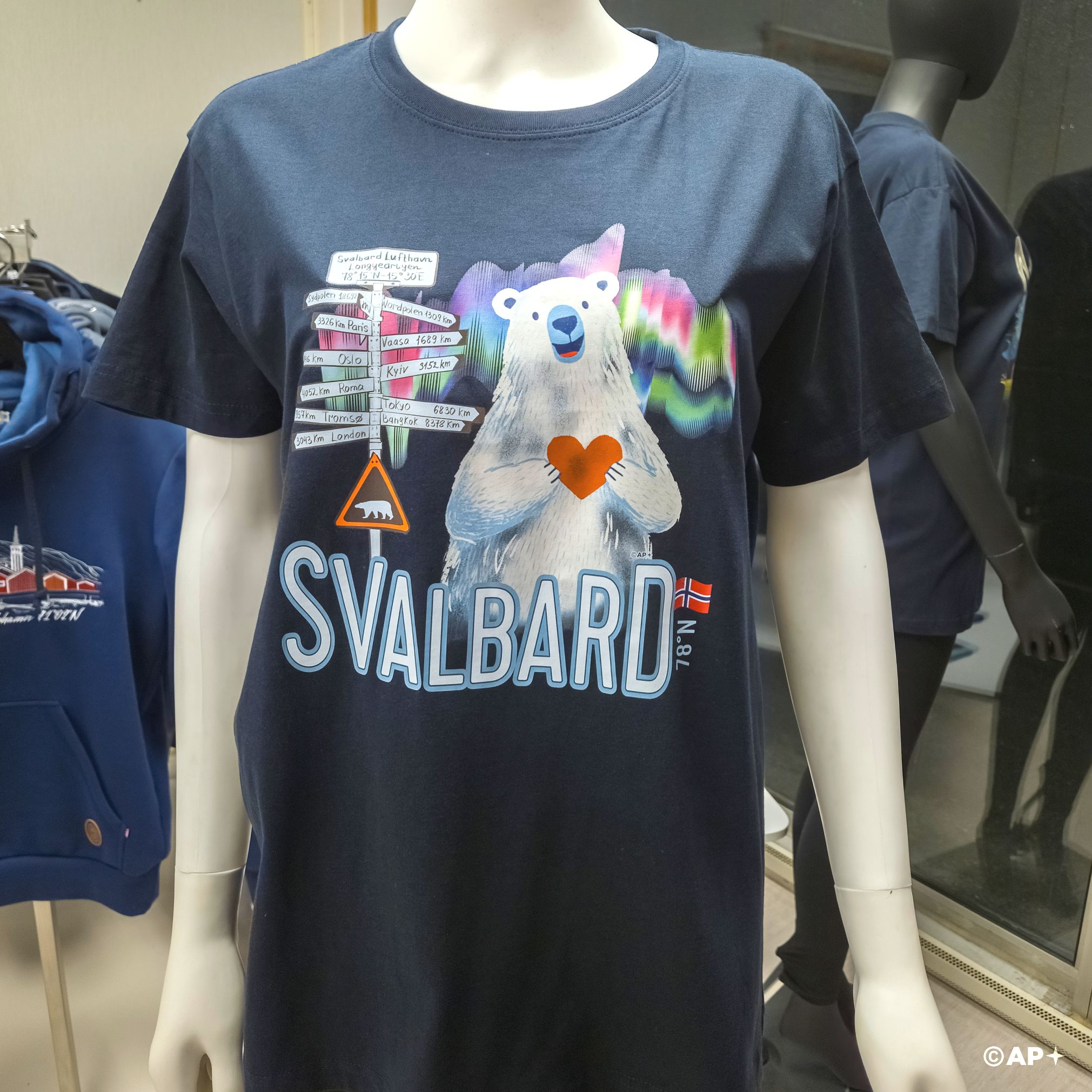 Svalbard Signpost & Polar Bear – Arctic Travel Memory