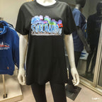 Arctic Husky Sled & Northern Lights – Svalbard