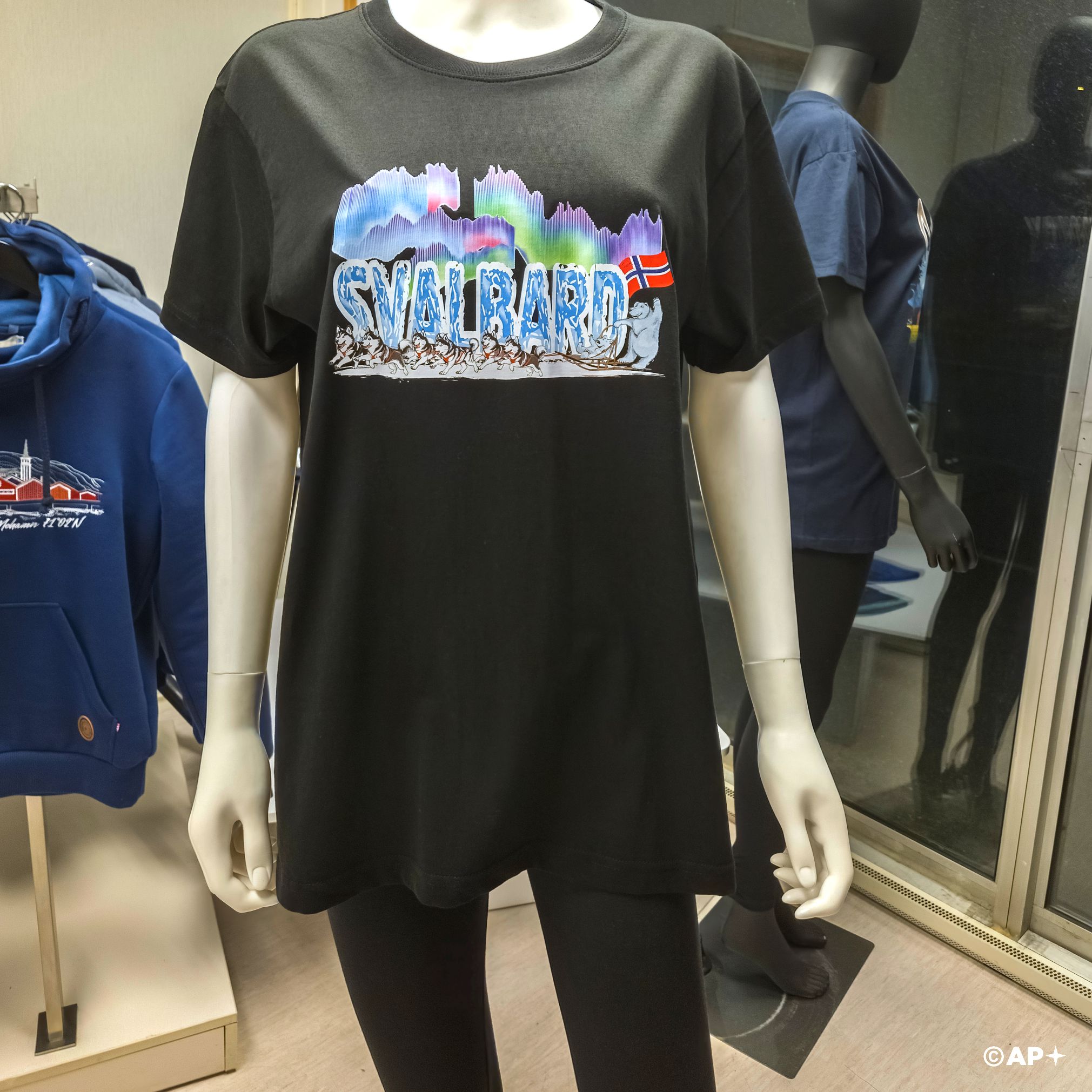 Arctic Husky Sled & Northern Lights – Svalbard