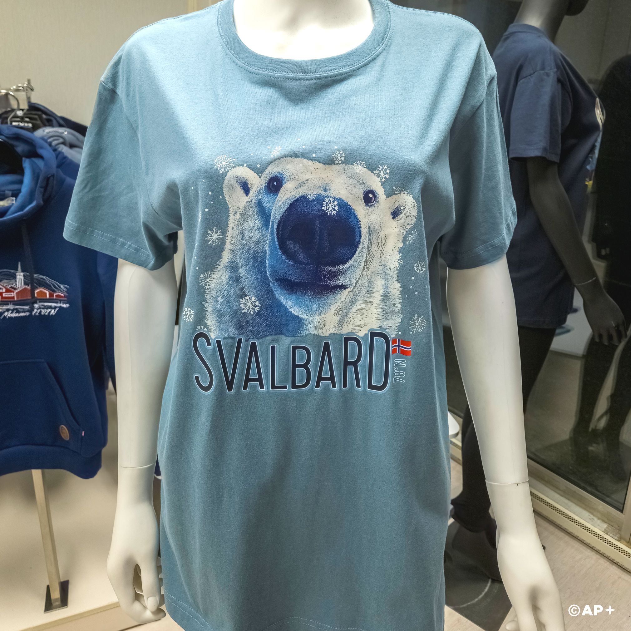 Nose-to-Nose With a Polar Bear – Svalbard