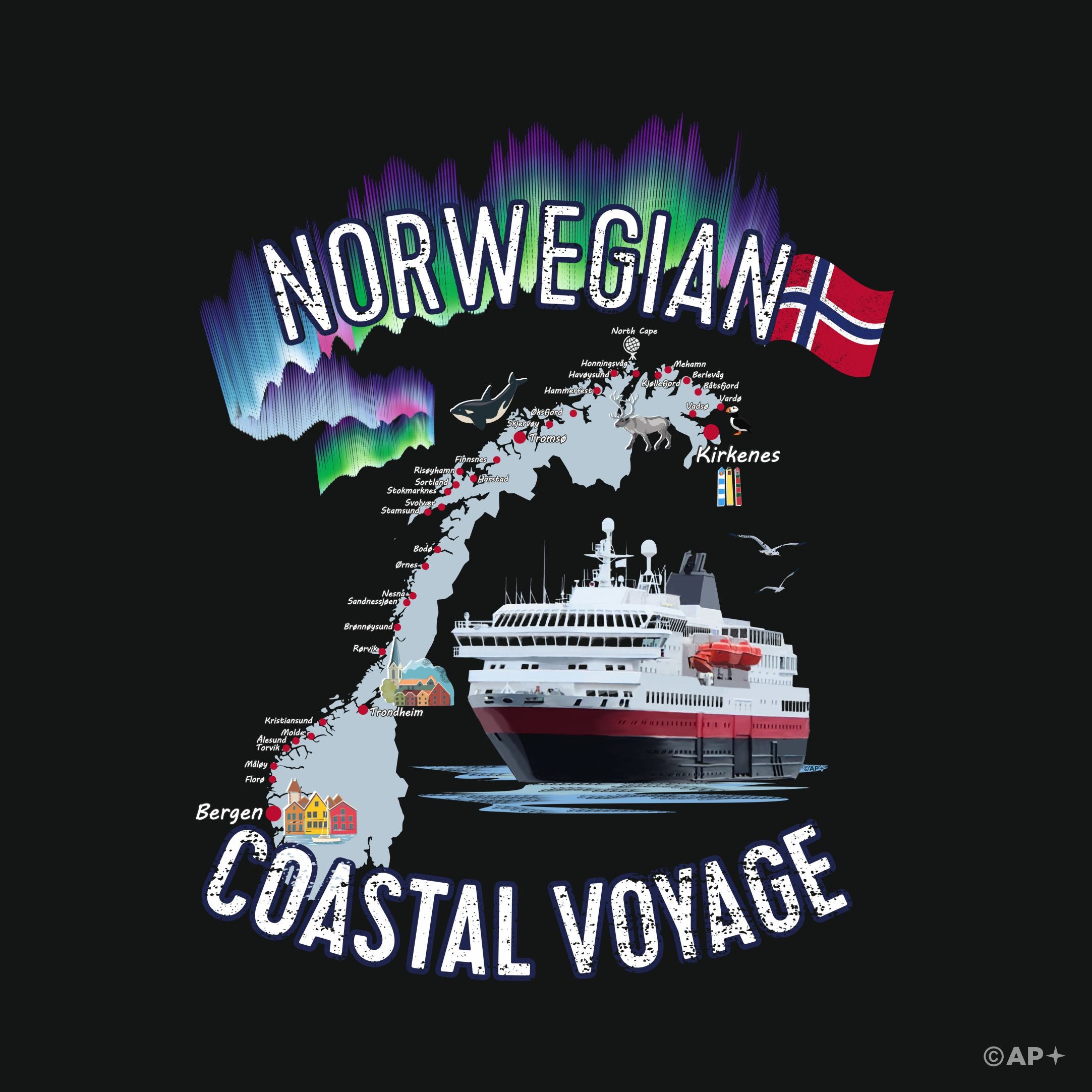 T-skjorte Norwegian Coastal Voyage