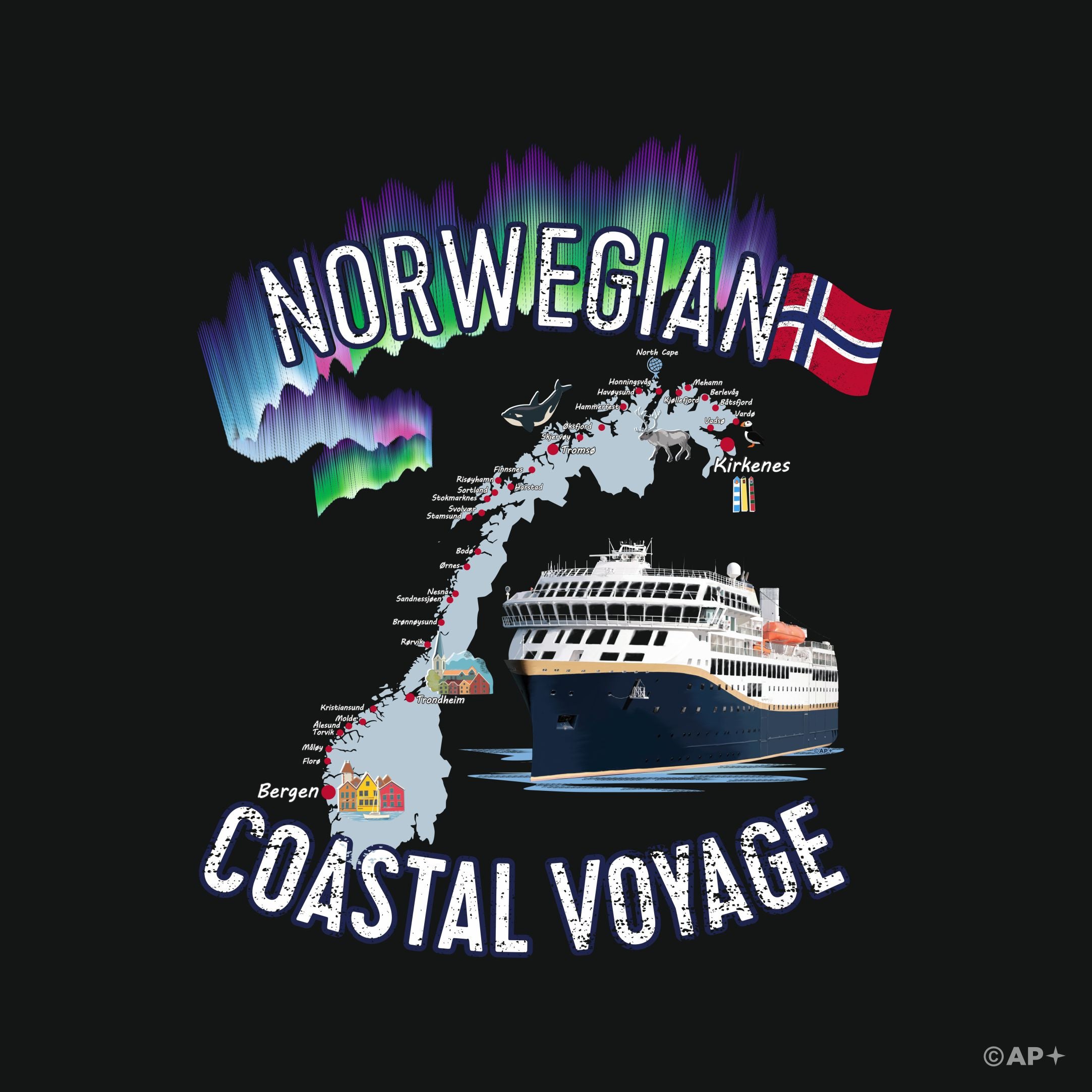 T-skjorte Norwegian Coastal Voyage