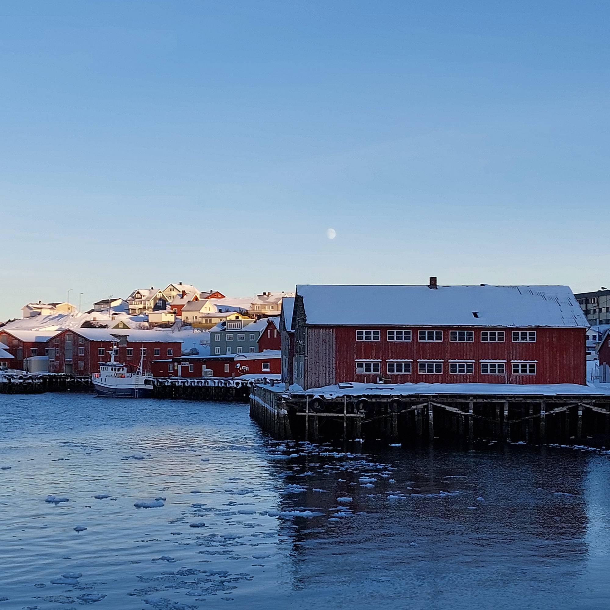 Mehamn havn i Finnmark med røde bygg, snø og is på vannet i rolig vinterlys