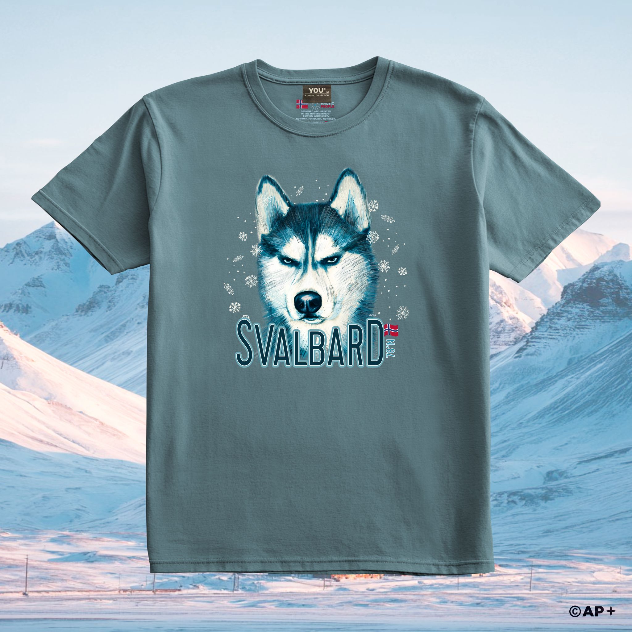 Svalbard Husky – Arktisk Blikk
