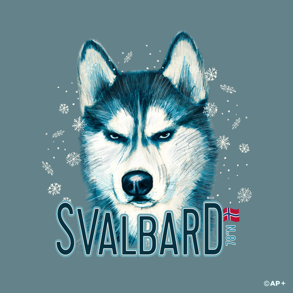Svalbard Husky – Arktisk Blikk