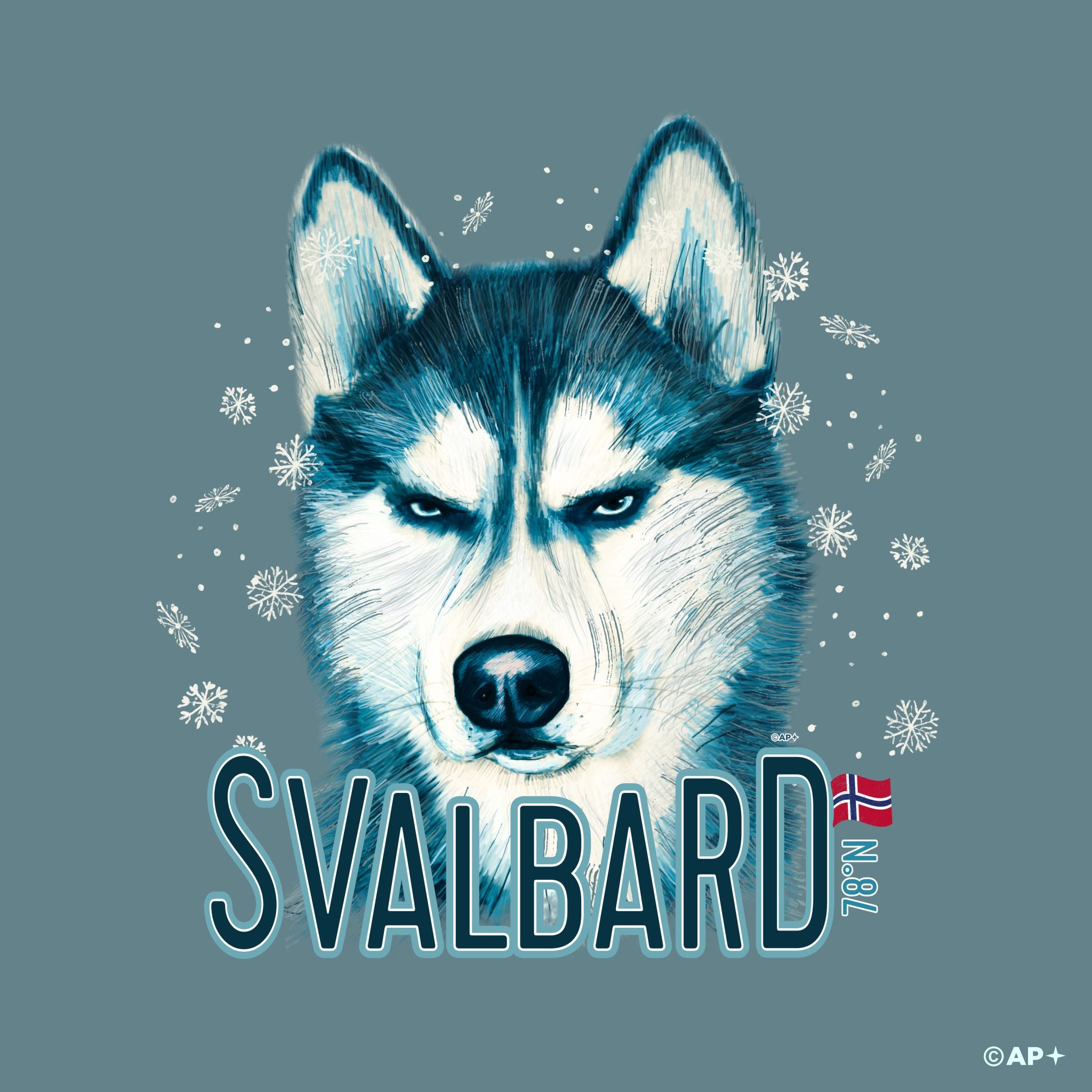 Svalbard Husky – Arktisk Blikk