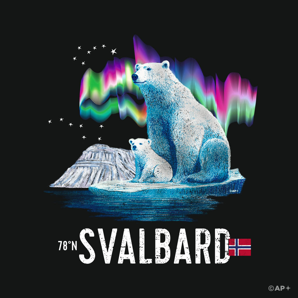 Polar Bear Mother & Cub – Svalbard Aurora Edition