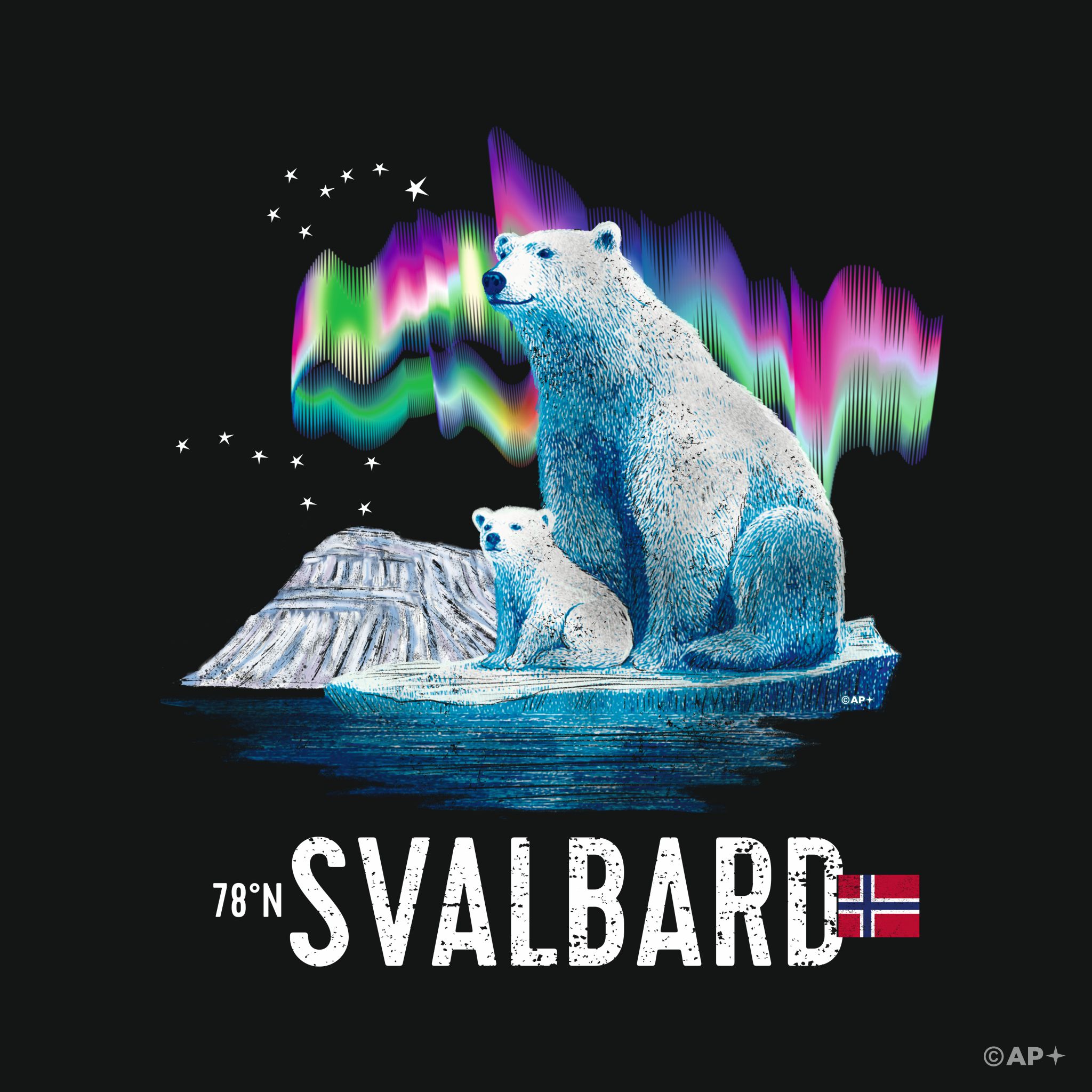 Polar Bear Mother & Cub – Svalbard Aurora Edition
