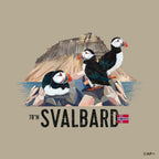 Lundefugler i Skansbukta – Svalbard