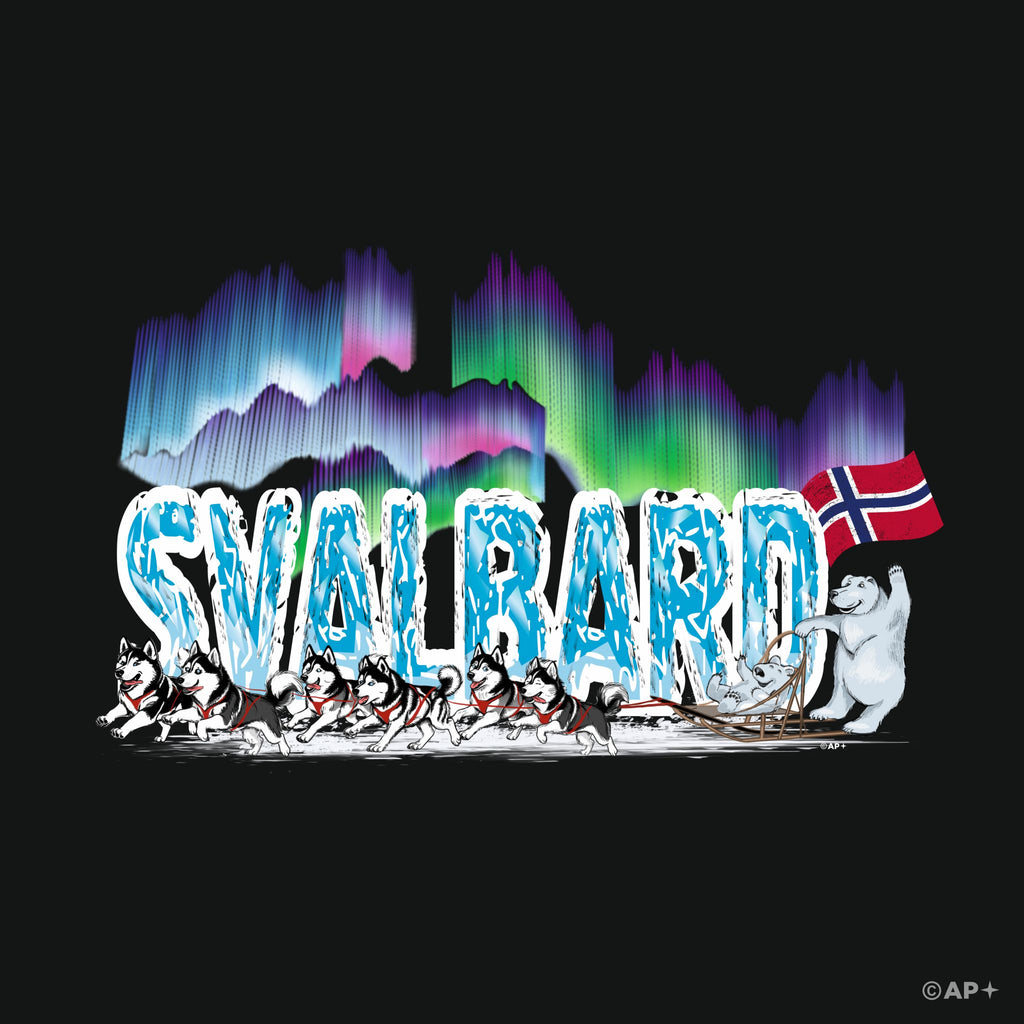 Arctic Husky Sled & Northern Lights – Svalbard