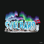 Arctic Husky Sled & Northern Lights – Svalbard