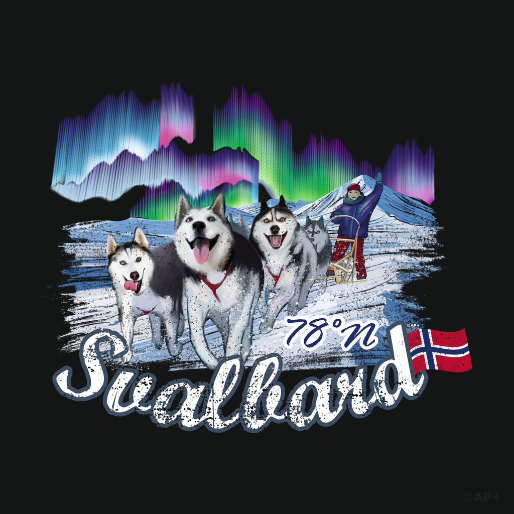 Svalbard Husky & Northern Lights — Arctic Adventure 78° North