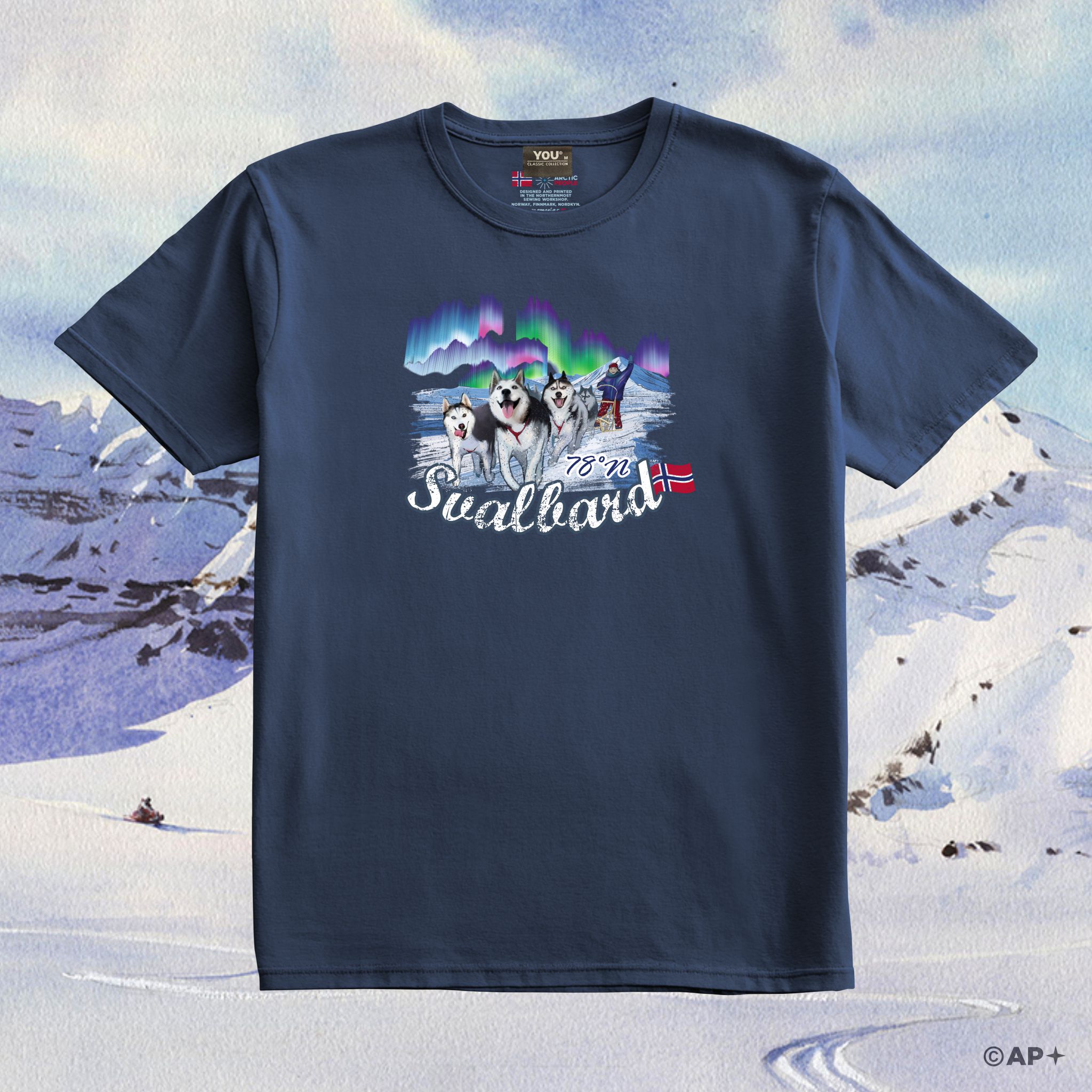 Svalbard Husky & Northern Lights — Arctic Adventure 78° North