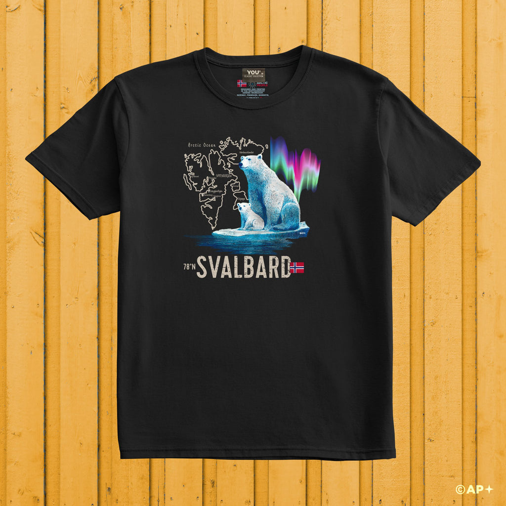 Isbjørn & Nordlys – Svalbard