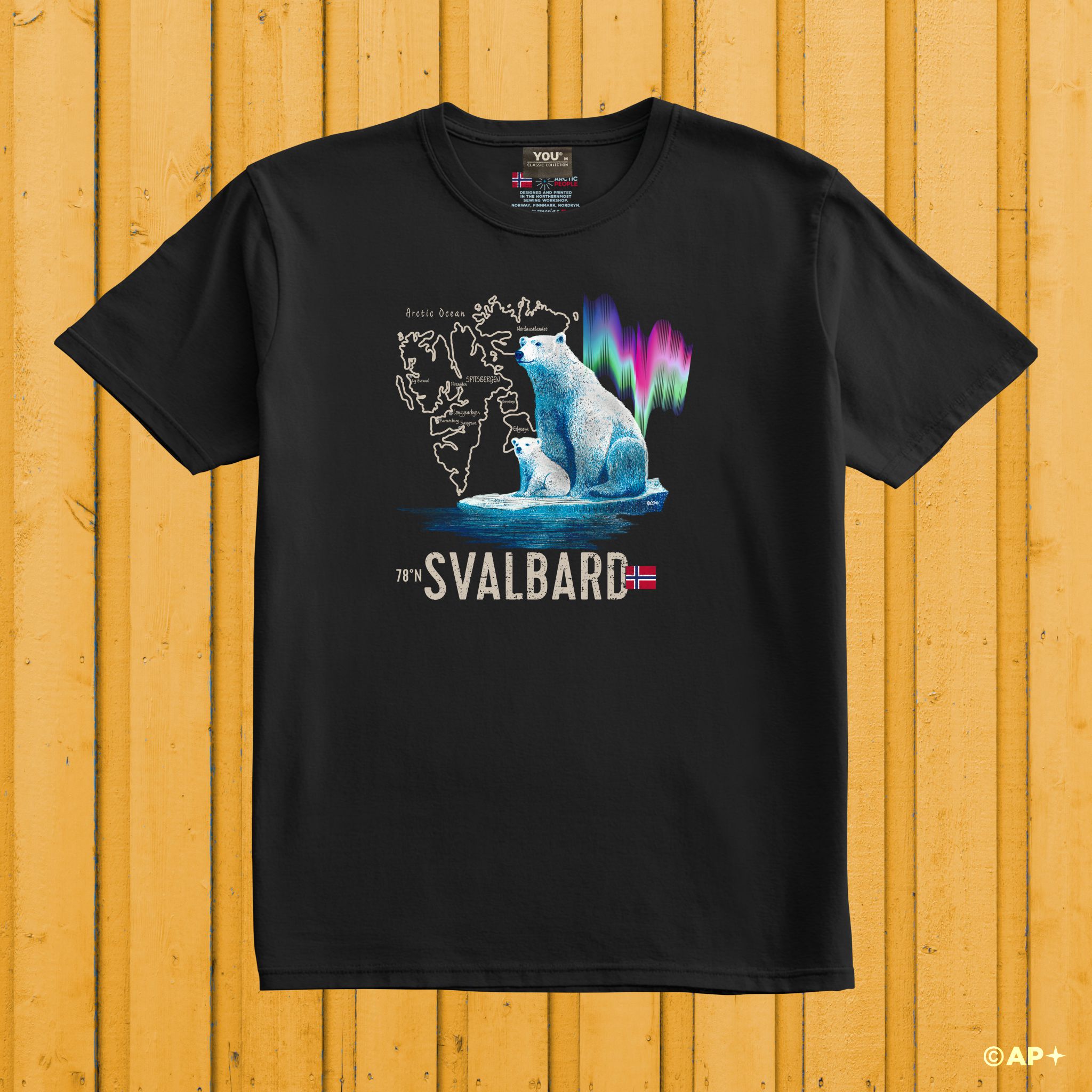 Isbjørn & Nordlys – Svalbard