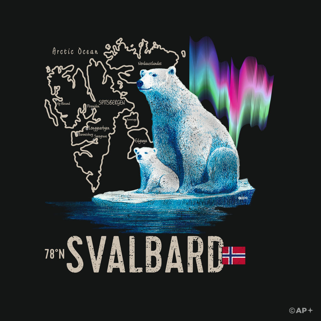 Isbjørn & Nordlys – Svalbard