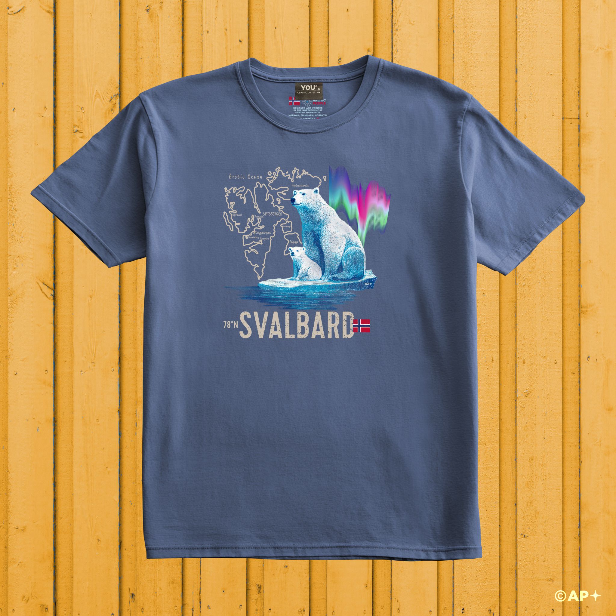 Isbjørn & Nordlys – Svalbard