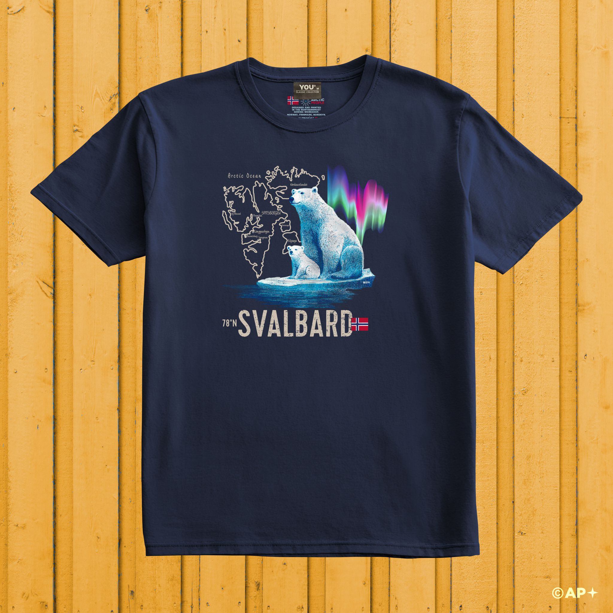 Isbjørn & Nordlys – Svalbard