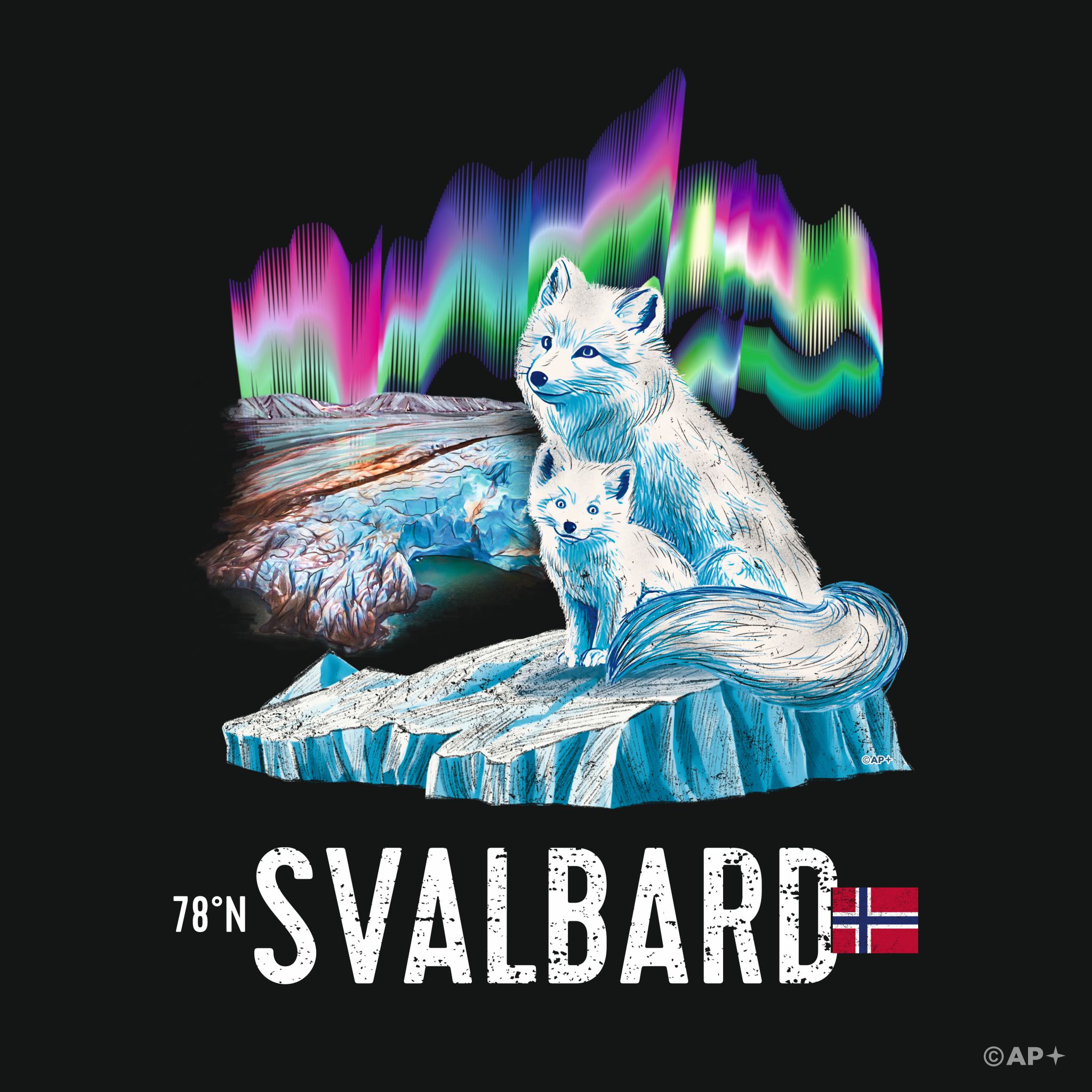 Fjellrev i Arktis – Svalbard 78°N
